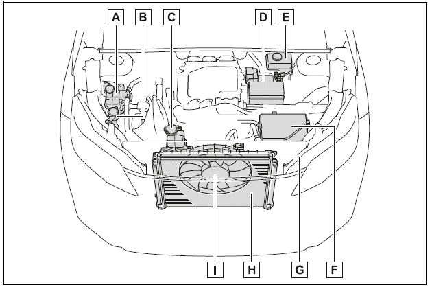 Motor compartment 